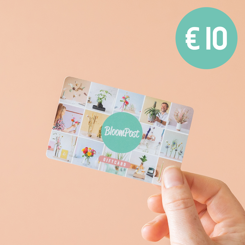 giftcard van BloomPost t.w.v. 10 euro