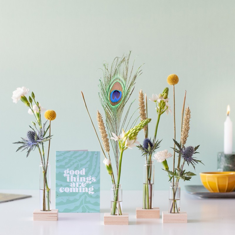 brievenbuscadeau met pauwenveer en wenskaart 'good things are coming'