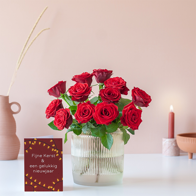 Rode Kerst Rozen