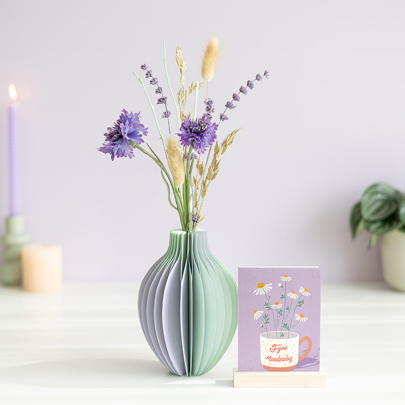 Lavendel Pracht | Moederdag Cadeau | Verras de liefste mama van de wereld met een cadeau door de brievenbus Brievenbusbloemen