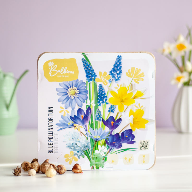 Bloementegel Brievenbusbloemen