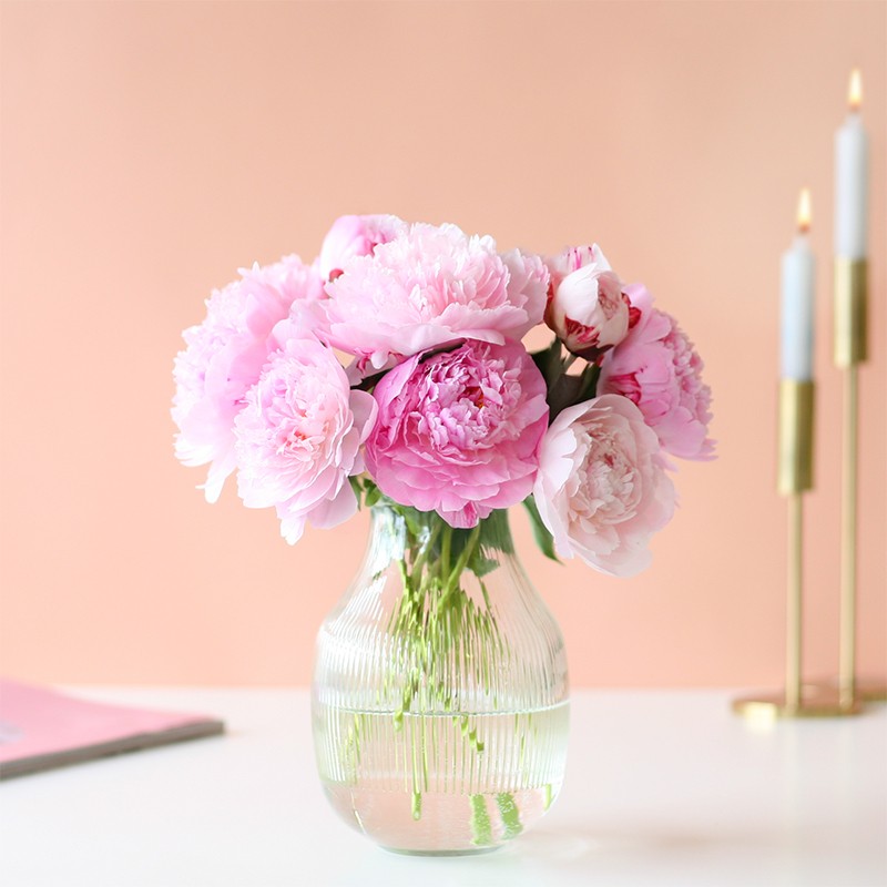 Pioenrozen | Uniek cadeau versturen | 9 dagen 100% versgarantie | Per post bezorgd Brievenbusbloemen
