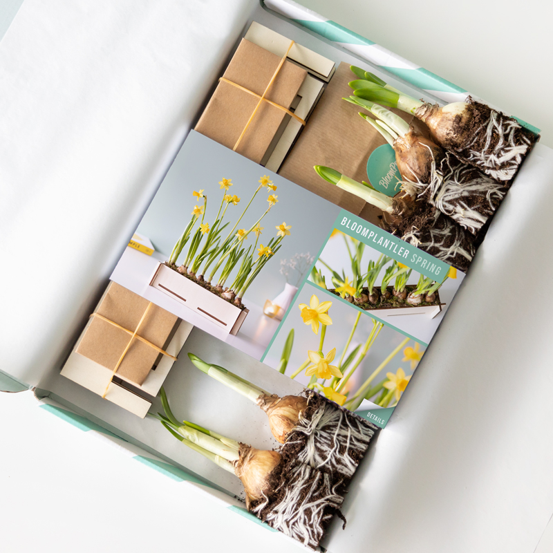 brievenbus cadeau met narcissen