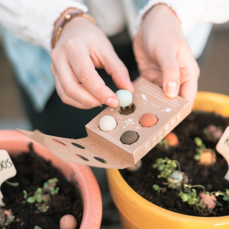 Iemand stopt kleurrijke bommetjes met bloemzaden in een pot met aarde 