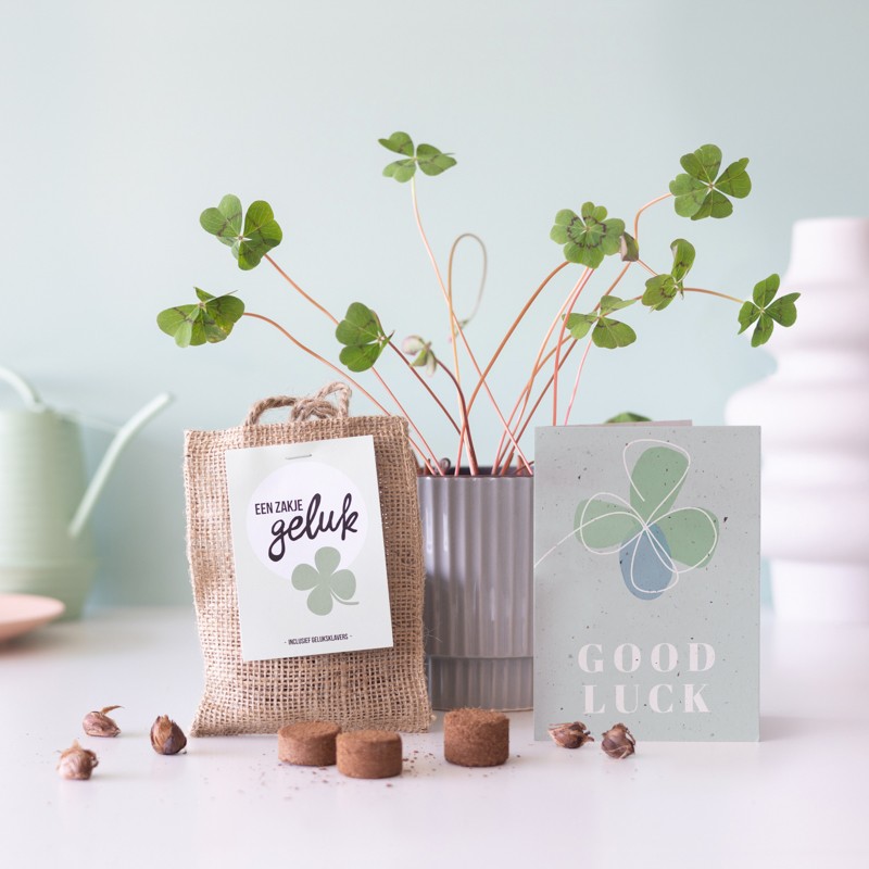 zakje geluk met kaartje 'good luck'
