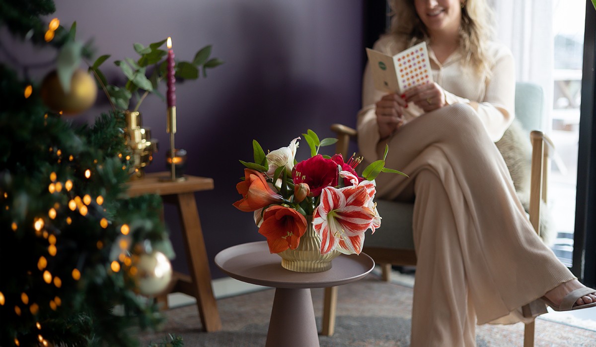 vrouw leest kerstkaart naast verlichte kerstboom met boeket amaryllissen op de voorgrond