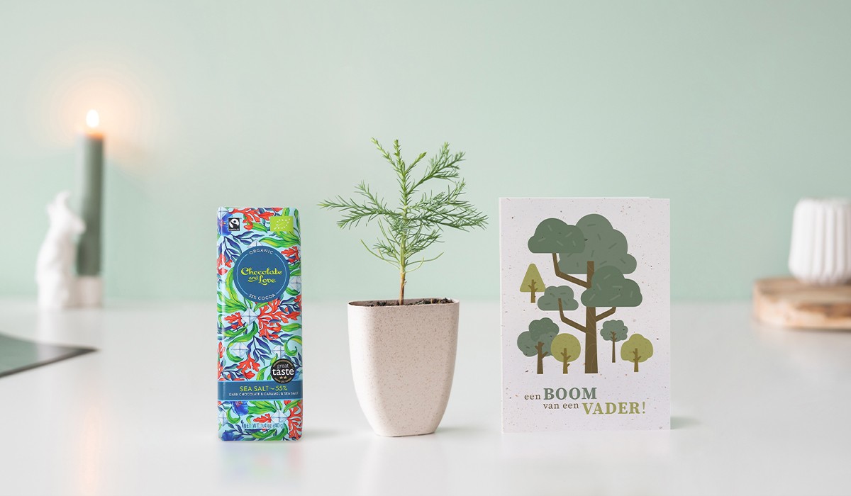 Plantje, chocoladereep en kaart Vaderdag