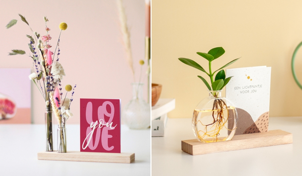 2 cadeaus naast elkaar: droogbloemen met wenskaart en lichtplantje met wenskaart