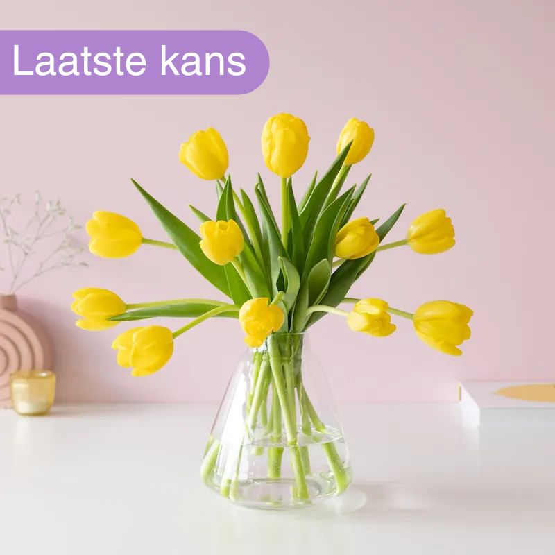 Brievenbus Tulpen Geel | Tulpen per post versturen | 9 dagen 100% vers garantie Brievenbusbloemen