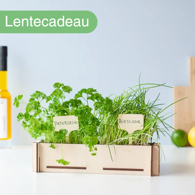 Kruidentuintje | Voorjaars brievenbus cadeau | Lente cadeau per post versturen | BloomPost Brievenbusbloemen